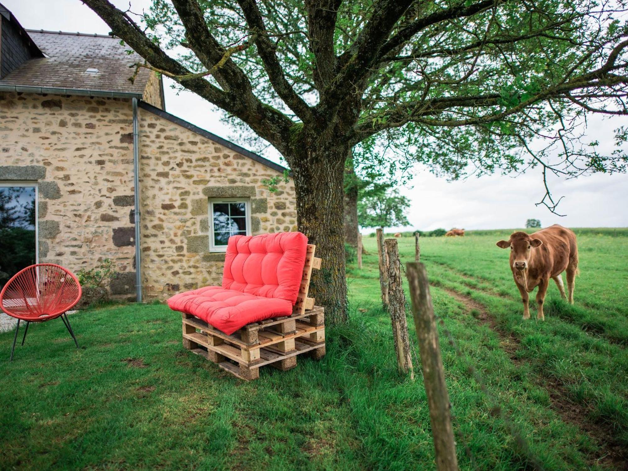 Gite De Charme Renove Avec Cheminee, Terrasse Et Proche Randonnees - Capacite 13 Pers. - Fr-1-410-179 Saint-Léonard-des-Bois Exteriér fotografie